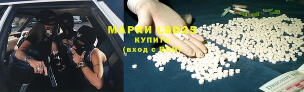 стаф Дмитров