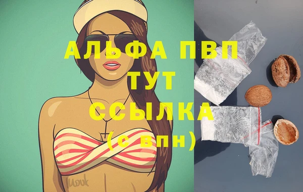 спиды Гусиноозёрск