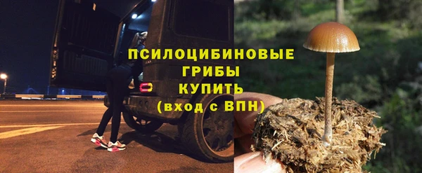 бутират Гусев